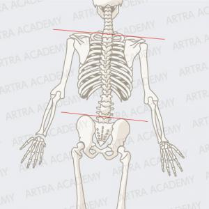CASE1：身体（特に骨盤）の左右バランスの違いによる循環不良：アトラアカデミー